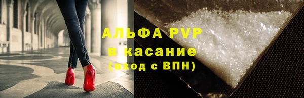 прущие крисы Бородино
