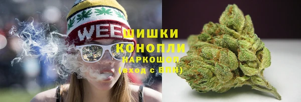 трава Бронницы