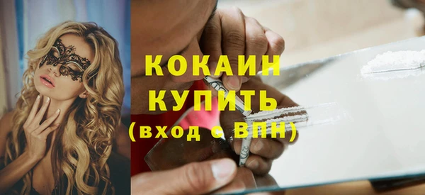 прущие крисы Бородино