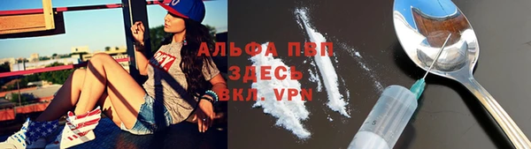 прущие крисы Бородино