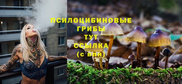 трава Бронницы