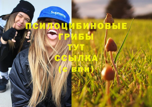 ECSTASY Бугульма
