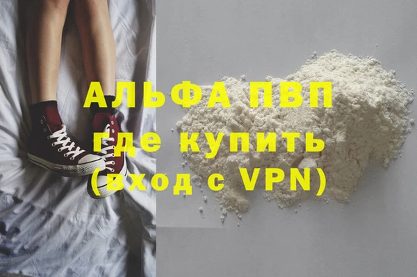 прущие крисы Бородино