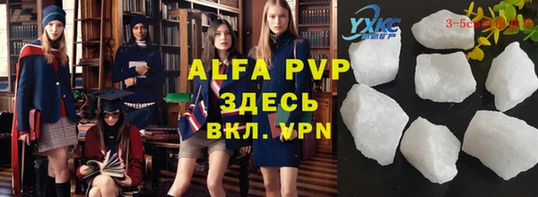 прущие крисы Бородино