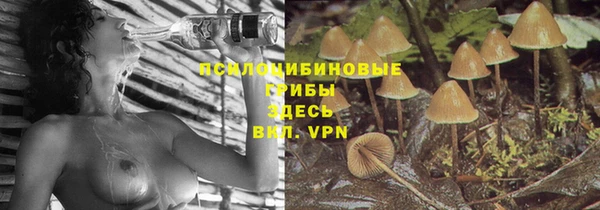 трава Бронницы