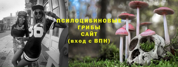 трава Бронницы