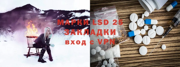 прущие крисы Бородино