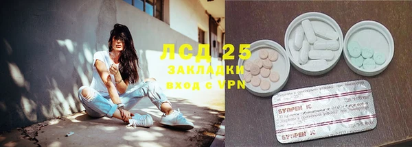 прущие крисы Бородино